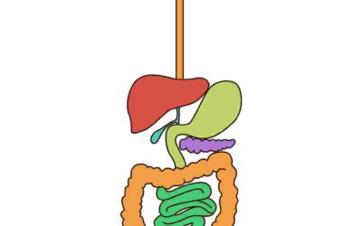 Let’s talk about stomach acid, shall we?