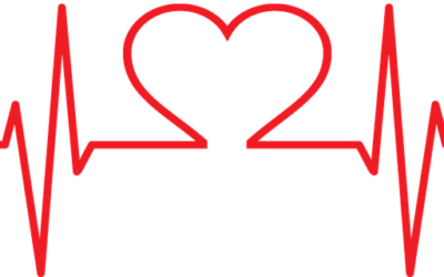 5 Facts about Cholesterol (#4 may surprise you!)