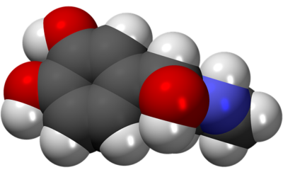 Hormones Part 1. Are yours in balance?