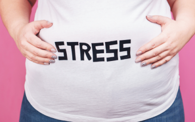 Are Stress & Inflammation Causing Your Weight Gain?