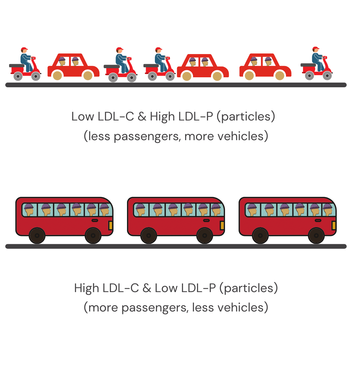 LDL good and bad