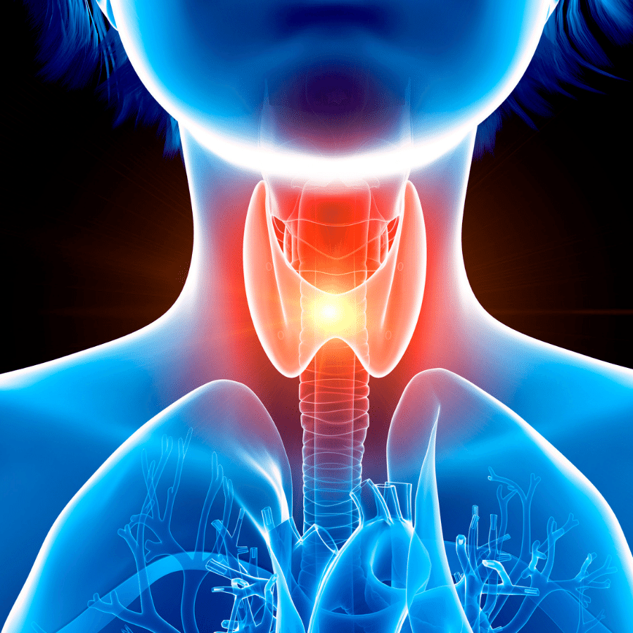 thyroid health