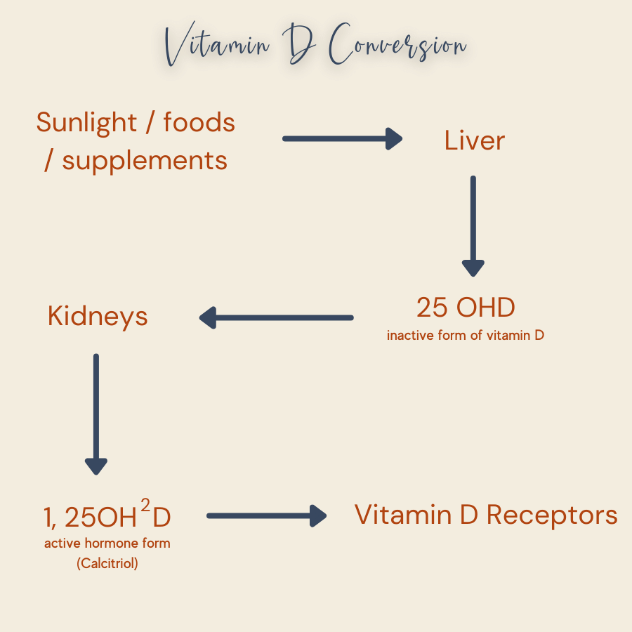 Vitamin D and the Immune System we've been doing it wrong! Healthy