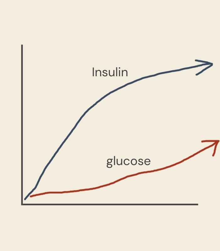 Blood sugar insulin graph